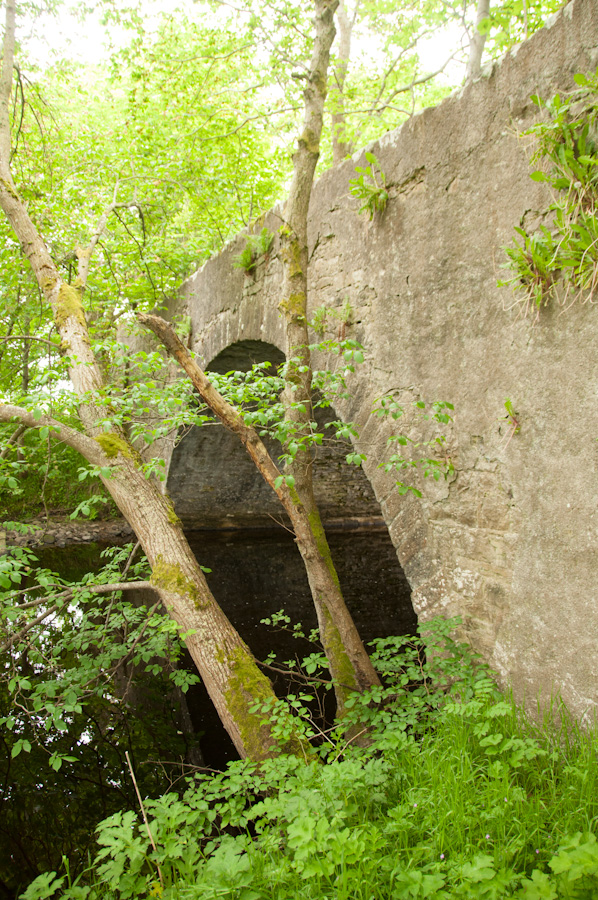 Evelix Old Bridge